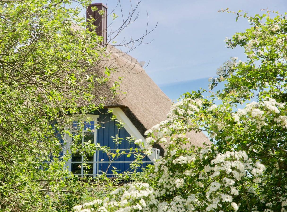 Haus Meerblau Born Exterior foto