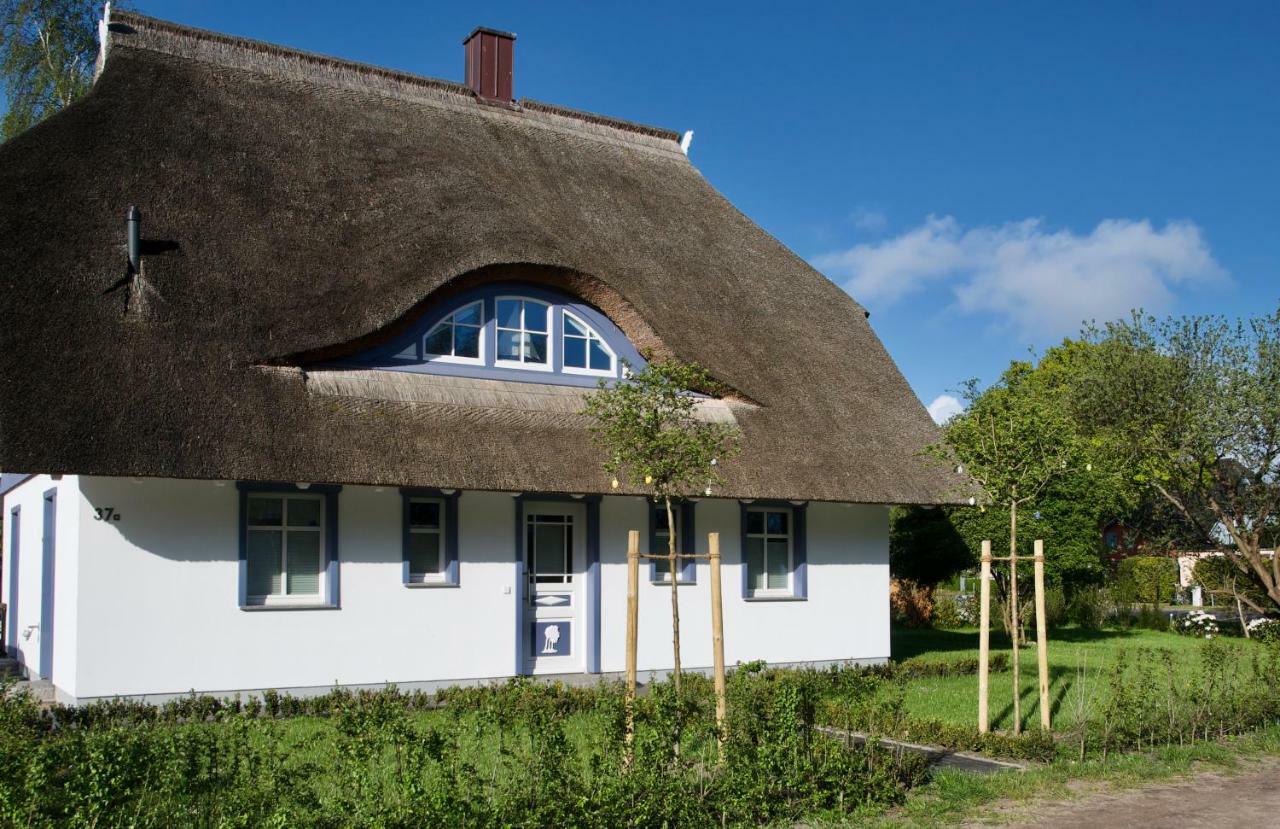 Haus Meerblau Born Exterior foto